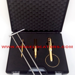 APOLO GOLDEN RODS
