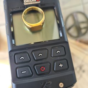 זהב כמות זהב עם גלאי מתכות